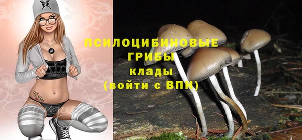каннабис Осташков